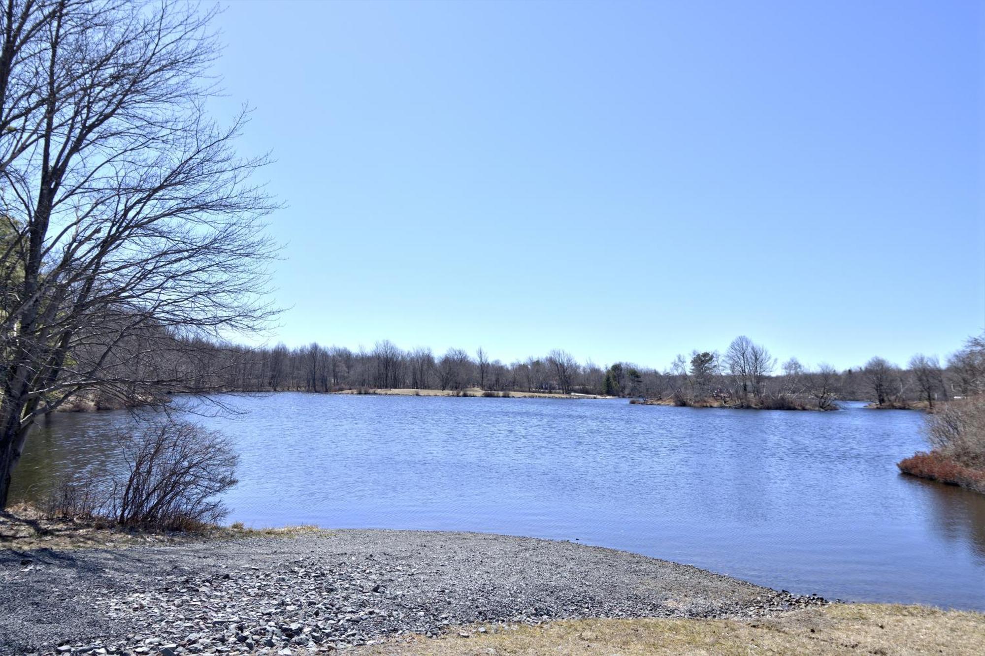 Long Pond Lakehouse *Hottub*Jacuzzi*Firepit*Bbq*Pool المظهر الخارجي الصورة